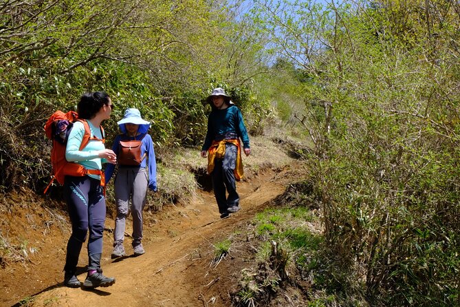 Traverse Outer Rim of Hakone Caldera and Enjoy Onsen Hiking Tour - Mt Marudake Ridge Walk: Bamboo, Birds, and Mt Fuji Odds