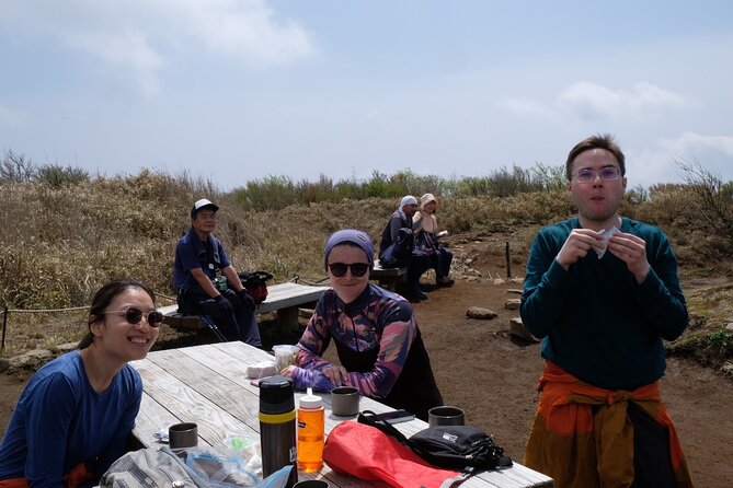 Traverse Outer Rim of Hakone Caldera and Enjoy Onsen Hiking Tour - Lake Ashinoko Descent, Then Togendai: Lunch and Onsen Reset