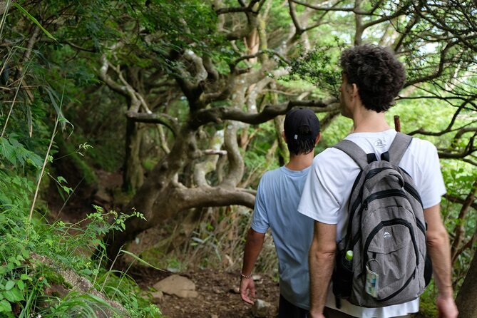 Traverse Outer Rim of Hakone Caldera and Enjoy Onsen Hiking Tour - Price and Value: What $158.13 Really Covers