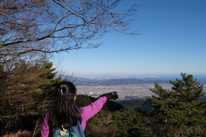 Traverse Outer Rim of Hakone Caldera and Enjoy Onsen Hiking Tour - Who This Onsen Hiking Tour Fits Best
