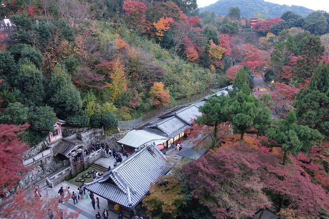 TREASURES of Kyoto: Fushimi Inari, Kiyomizu Temple, and more! - Small group access and the Niall difference