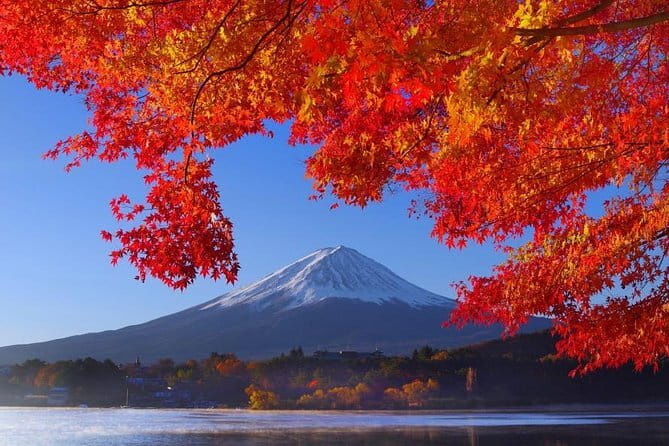 View of Mt. Fuji is good! Sushi making experience class - Vinegared Rice: The Step That Makes Everything Taste Like Sushi