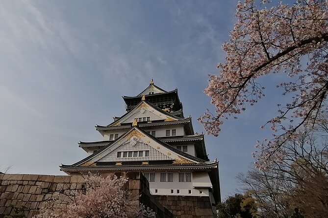 Walking Tour of Osaka's 5 Must-See Sights, with Ramen for Lunch - Starting in the Right Place: Meeting Point and First-Time Visitor Value