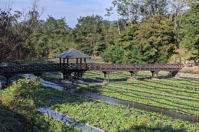Wasabi Farm Walking Tour & Lunch - Daio Wasabi Farm in Nagano: a countryside detour worth planning