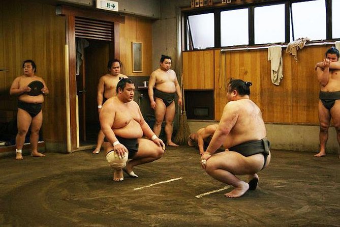 Watch Sumo Morning Practice at Stable in Tokyo - The Stable Floor: Comfort, Seating, and How to Save Your Legs