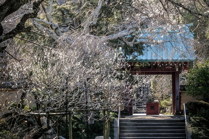 When Emperors Reigned and Shoguns Ruled - Komachidori shopping street: breaks, snacks, and souvenirs