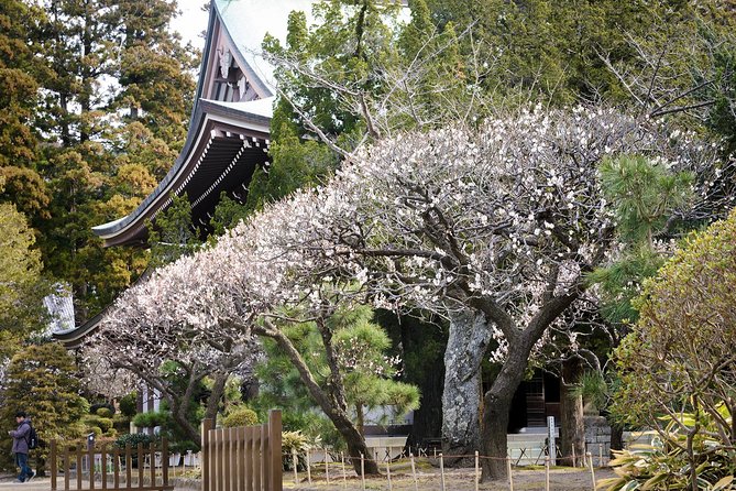 When Emperors Reigned and Shoguns Ruled - Hasedera Temple: multi-level gardens and the 11-headed Kannon