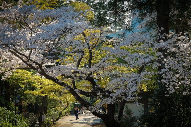 When Emperors Reigned and Shoguns Ruled - Why the photographer guide is more than a nice extra