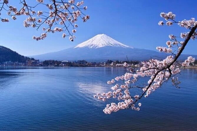 Winter Special: Clear View Mt. Fuji E-Bike Tour - Stop 3: Yusui Park Spring Water Sites (A Fuji Detail Most People Skip)