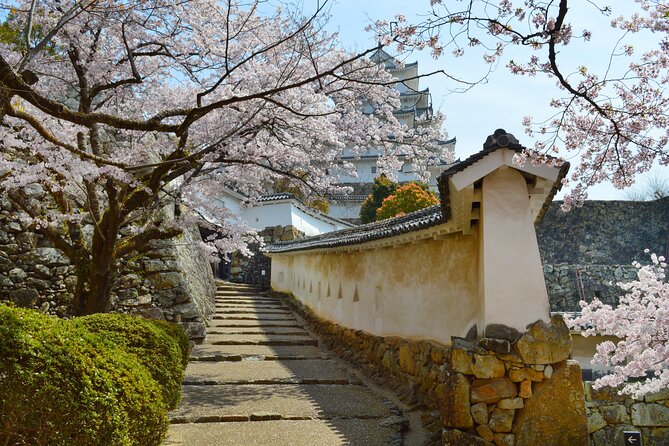 World Heritage Himeji Castle & Sake Breweries Private Tour - Weather, Heat, and What to Wear for August-Style Conditions
