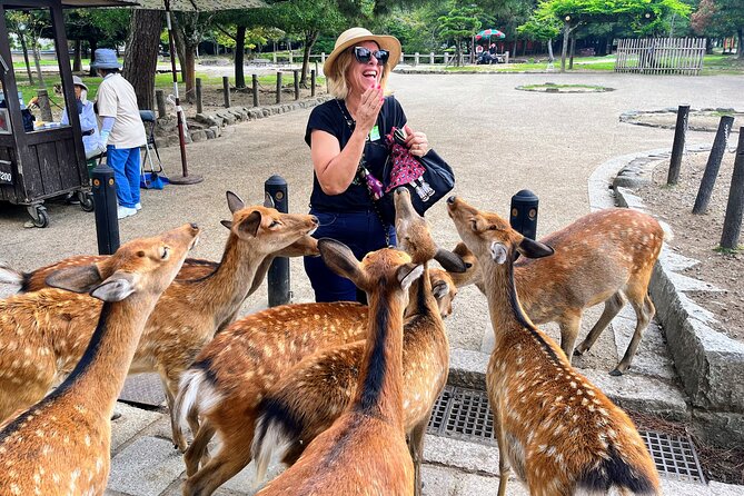 World Heritage Kyoto & Nara Uji Authentic Matcha Experience - Key points I’d plan around