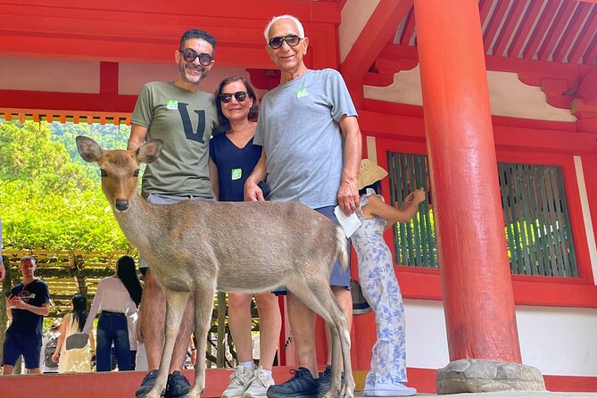 World Heritage Kyoto & Nara Uji Authentic Matcha Experience - Heijo Palace World Heritage context without the extra hassle